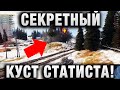 СЕКРЕТНЫЙ КУСТ СТАТИСТА! ПРОСТО СТРЕЛЯЯ ТУДА, ОН ИМЕЕТ...