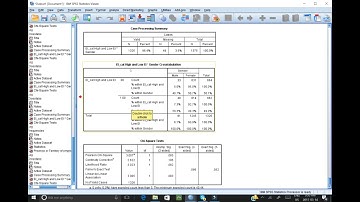 Chi-square test in SPSS with 2 variables