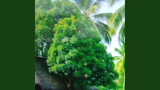 Download Lagu Aku yang dulu MP3 Download Lagu Aku yang dulu MP3