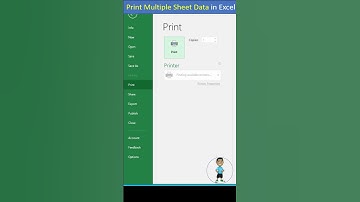Print Multiple Sheet Data in Excel #excel #msexcel #exceltips #exceltutorial #shorts #youtubeshorts