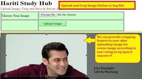Crop Image Online After Upload and Save to Server Cropped Image in Asp.Net C# | Hindi | Free Learn