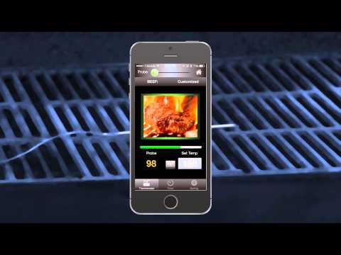 America S Test Kitchen Smoker Gas Grill America S Test Kitchen Smoker Gas Grill