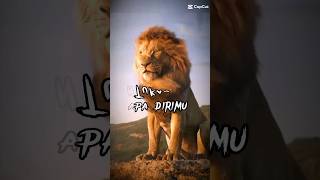 KHANHAZRATKHAN-123 animal videos,vimeos videos,share video on vimeo,how to share vimeo