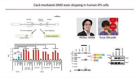 Rapid and Accurate Detection of Novel Coronavirus SARS-Cov-2 Using Crispr-Cas3