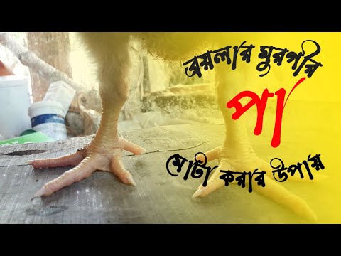 ভিডিও: মশলাদার মুরগির পা কীভাবে বেক করবেন