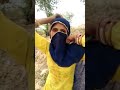 Mewat ki video