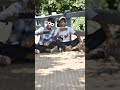 #trending #tiktok #trendingshorts #freefire #garenafreefire
