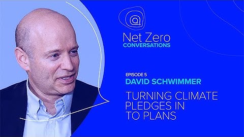 Turning Climate Pledges in to Plans | Net Zero Conversations | LSEG