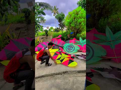 MY KITE COLLECTION #shorts #kiteflying #kite #kites #saranggola