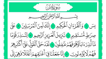 36 سورة يس القارئ الشيخ حجاج الهنداوي