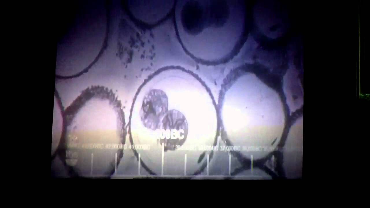 The Big Bang Theory Theme Song YouTube the-big-bang-theory-theme-song-youtube