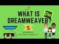 What is Dreamweaver?  5 Reasons to start using it  (An Overview)