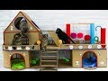 DIY Creative Cat House for Four Adorable Kittens