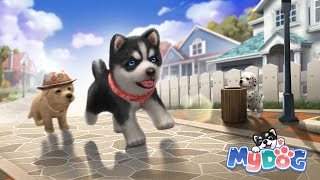 My Dog : Puppy Game Pet Simulator - IOS Gameplay best mobile games 2022 screenshot 4