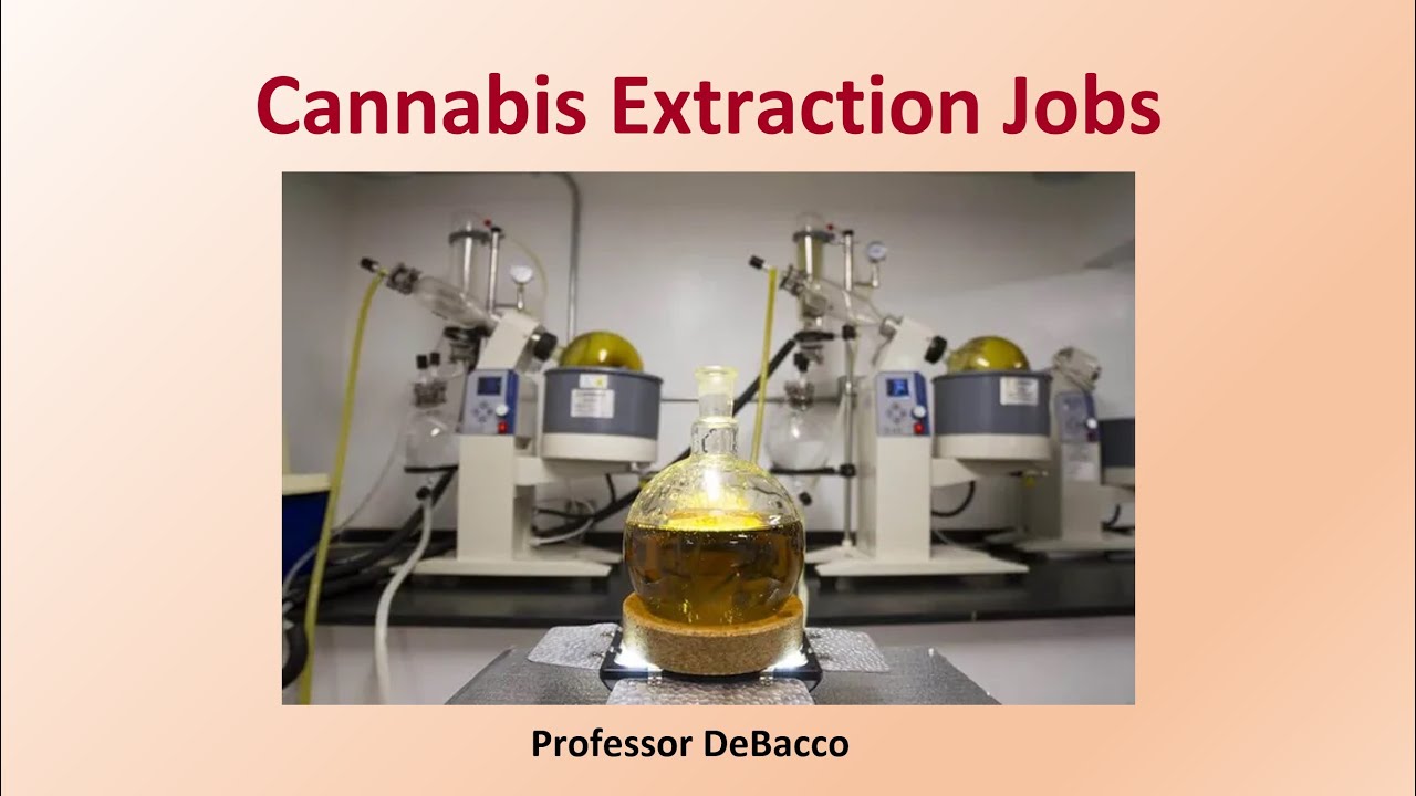 Cannabis Extraction Jobs YouTube