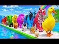 Long Slide Game with Cow Elephant Gorilla Hippopotamus Tiger 3d Animal Game Funny 3d Animals