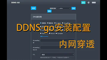 支持IPv6公网 免费开源内网穿透DDNS神器 架设NAS 远程访问必备 3 5M Web管理 Linux MAC Win Docker全平台 支持aliyun 腾讯云 Cloudflare等 