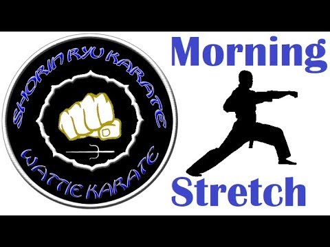 Wattie Karate Morning Stretch - 2020Apr27