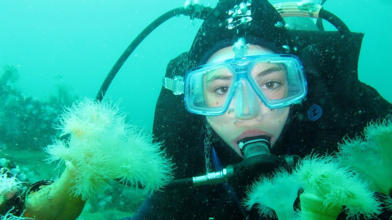 My First Time Scuba Diving 😍 Breathing Underwater Amazing