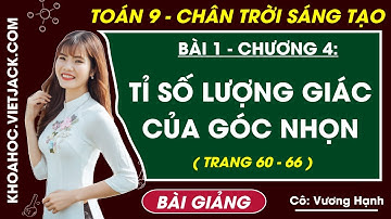 Tỉ số lượng giác của góc nhọn | Toán 9 Chân trời sáng tạo (HAY NHẤT)