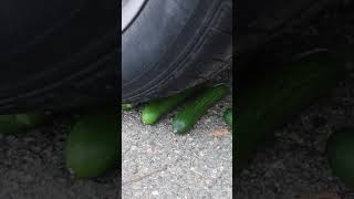 Crushing Crunchy & Soft Things By Car - Crushing Food