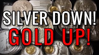 Silver is Down & Gold is Up! (Precious Metal Spot Price)