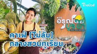 คาเฟ่กลางสวนทุเรียน "สวนอรุณบูรพา" ของดีเมืองจันทบุรี| Thainews - ไทยนิวส์