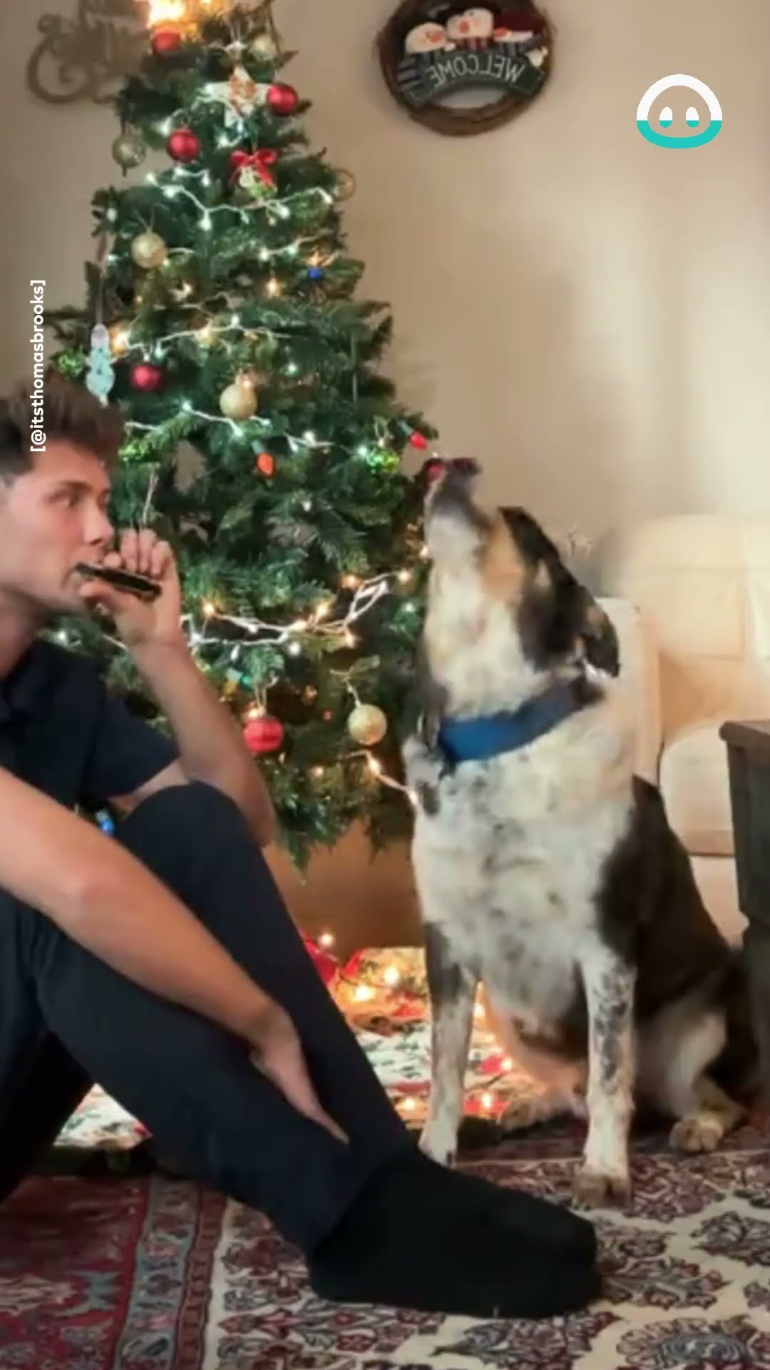 Dog Howls Along With Harmonica || ViralHog