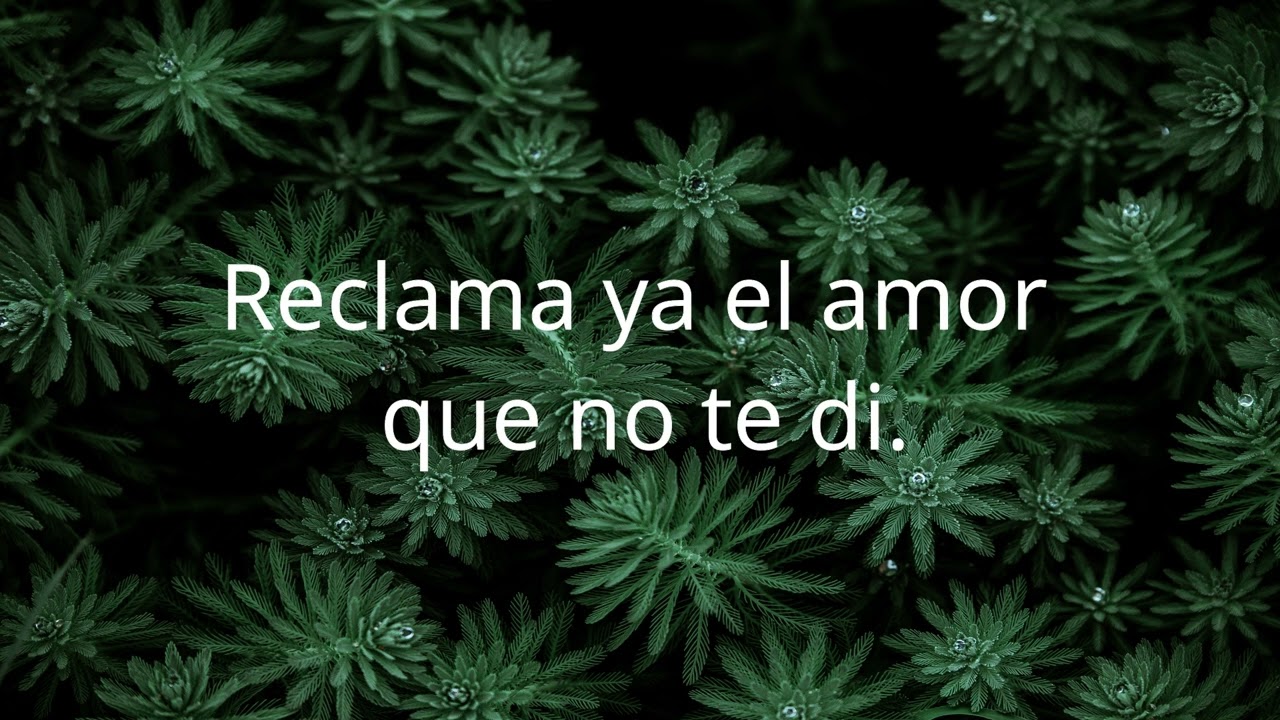 Apiádate de mí - David Bisbal