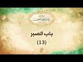 باب الصبر 13 - د. محمد خير الشعال
