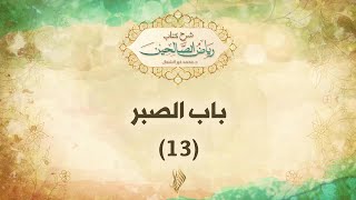 باب الصبر 13 - د. محمد خير الشعال