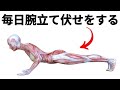 毎日腕立て伏せを30回やり始めると体に何が起こるでしょうか？