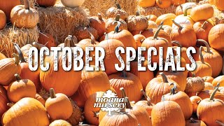 October Specials 2025