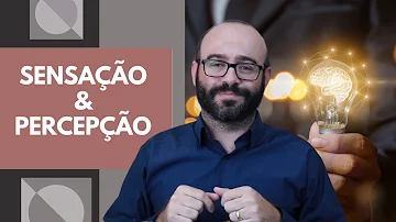 O que é sensação exemplos?