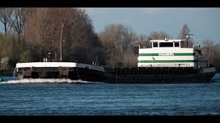 #81 Shipspotting / Binnenschiffe / Marine Traffic /  - Schiffe auf dem Rhein bei Groß-Rohrheim, Hamm