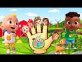 Cocomelon finger family | CoComelon Nursery Rhymes - baby finger