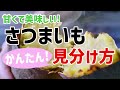 さつまいもを甘くするための美味しい簡単見分け方！