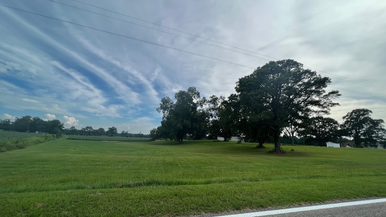 Tarboro Farmhouse/Estate Sale Aug 27 & Aug 28 (1022 Britt Farm Road