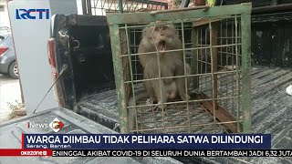 Lepas dari Kandang, Seekor Monyet Peliharaan Serang Warga di Pandeglang #SeputariNewsPagi 05/06