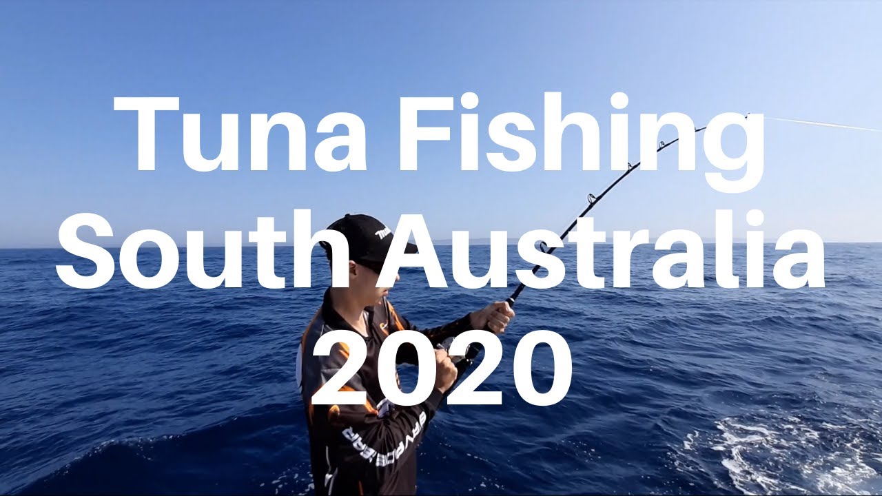 Tuna Fishing, South Australia, 2020 YouTube