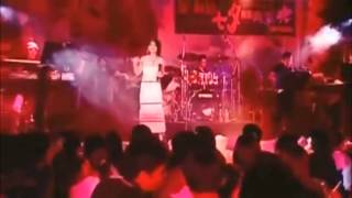 愛你不是兩三天Live