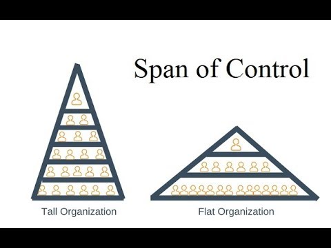 Video: Vad är span of control i en organisation?