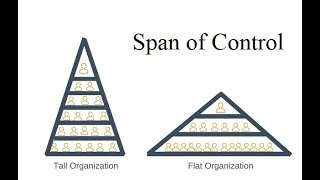 Span of Control | Organising