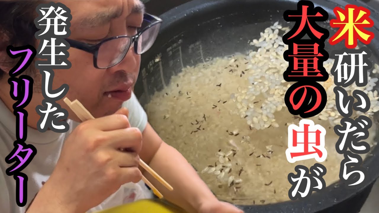 【貧困】貧乏飯作ったら虫だらけだった41歳底辺フリーター