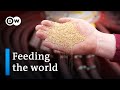 Food security  a growing dilemma  dw documentary