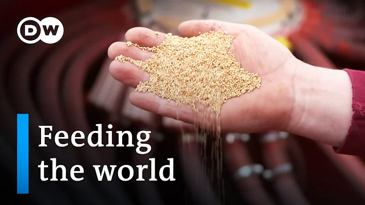 Food security - A growing dilemma | DW Documentary - DayDayNews