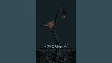 ارح سمعك تلاوة هادئة تنسيك هموم الدنيا كلها😴❤️#القارئ ياسر الدوسري#اجمل حالات واتس اب دينية قصيرة