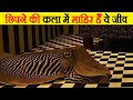 रहस्यमयी ढंग से अपना रंग बदलने  है यह समुद्री जीव | Top 10  Best Camouflaged Sea Creatures