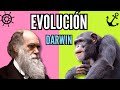 🐍 DARWIN y la EVOLUCIÓN 🐥 teoría de especies por selección natural de las especies, biología, niños.