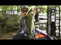 #427 亀山湖の静寂を破るバスの躍動～ハードルアーにこだわる理想の釣り～